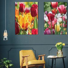 2 Pieces Tulip Wheelie Bin